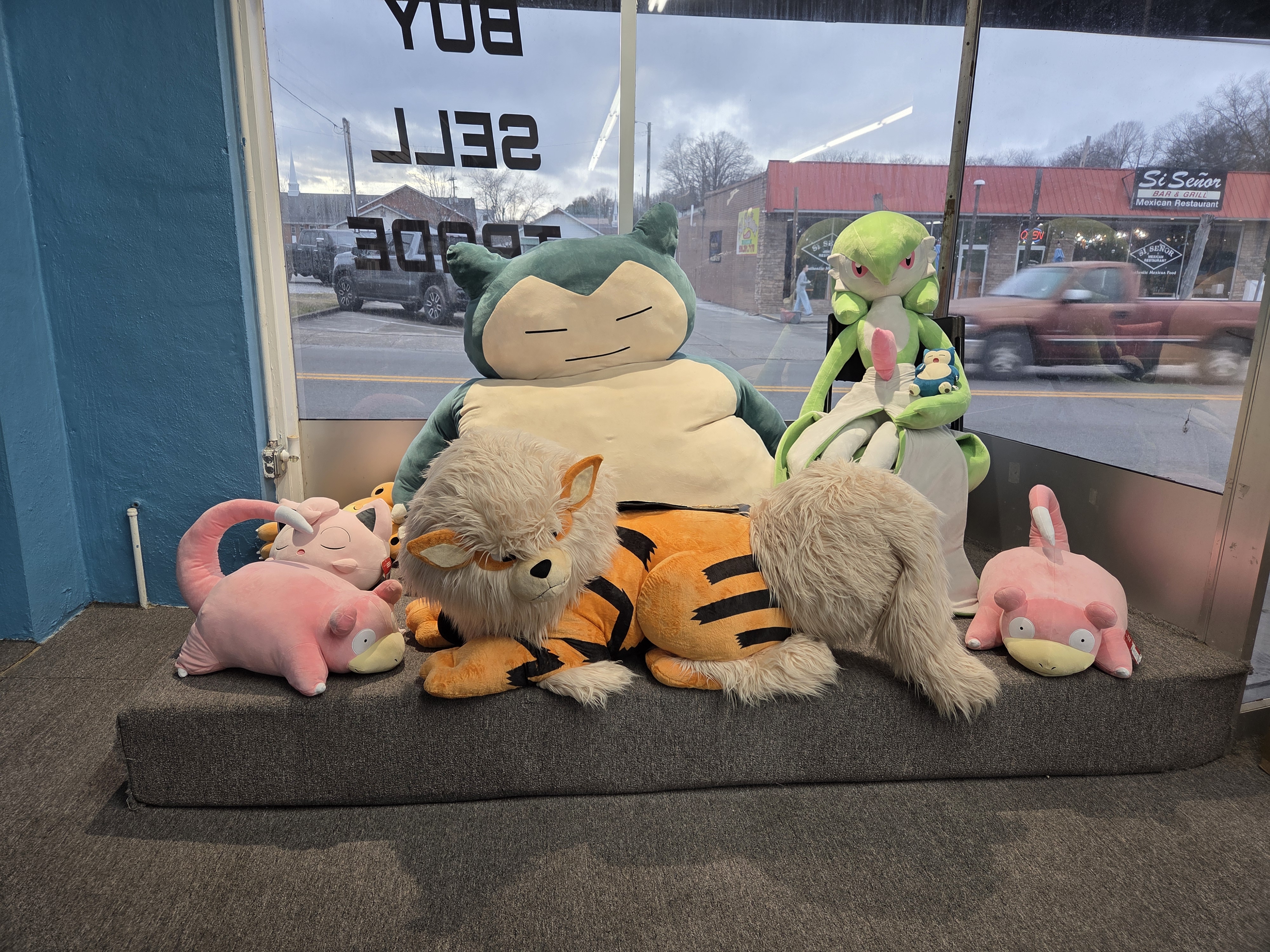 Collection of plush on display